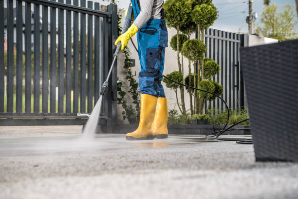 Best Roof Washing  in North Prairie, WI